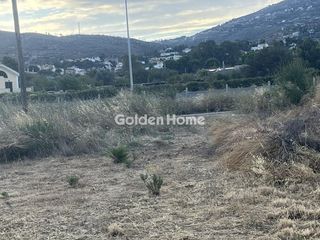 Οικόπεδο 2.000 τ.μ. για ενοικίαση, Αττική - Υπόλοιπο, Ωρωπός-thumb-5