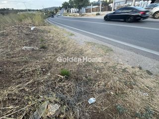 Οικόπεδο 2.000 τ.μ. για ενοικίαση, Αττική - Υπόλοιπο, Ωρωπός-thumb-20