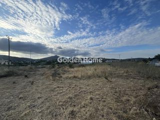 Οικόπεδο 2.000 τ.μ. για ενοικίαση, Αττική - Υπόλοιπο, Ωρωπός-thumb-15