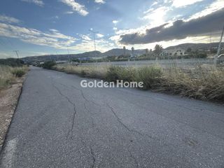 Οικόπεδο 2.000 τ.μ. για ενοικίαση, Αττική - Υπόλοιπο, Ωρωπός-thumb-29