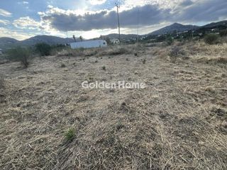Οικόπεδο 2.000 τ.μ. για ενοικίαση, Αττική - Υπόλοιπο, Ωρωπός-thumb-19