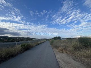 Οικόπεδο 2.000 τ.μ. για ενοικίαση, Αττική - Υπόλοιπο, Ωρωπός-thumb-11