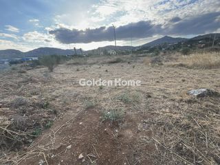 Οικόπεδο 2.000 τ.μ. για ενοικίαση, Αττική - Υπόλοιπο, Ωρωπός-thumb-14