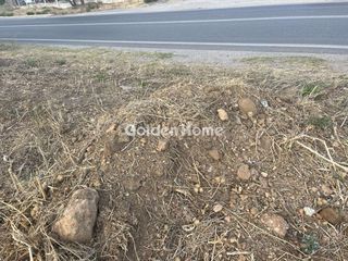 Οικόπεδο 2.000 τ.μ. για ενοικίαση, Αττική - Υπόλοιπο, Ωρωπός-thumb-9