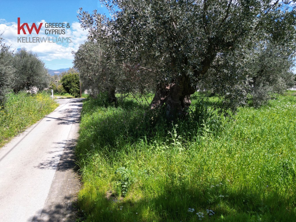Οικόπεδο 5.054 τ.μ. πρός πώληση, Λακωνία, Μυστράς