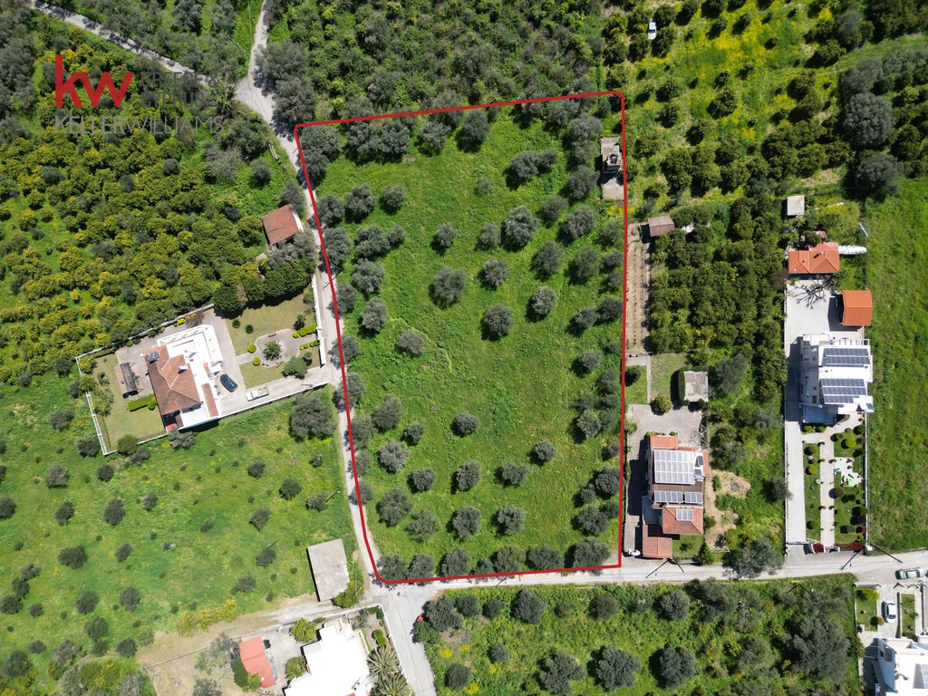 Οικόπεδο 5.054 τ.μ. πρός πώληση, Λακωνία, Μυστράς