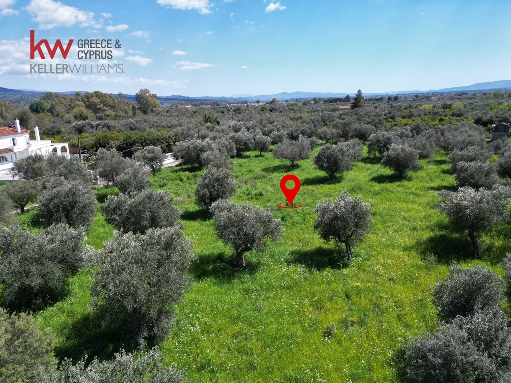 Οικόπεδο 5.054 τ.μ. πρός πώληση, Λακωνία, Μυστράς