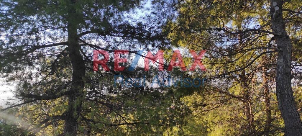 Οικόπεδο 1.080 τ.μ. προς πώληση, Θρακομακεδόνες