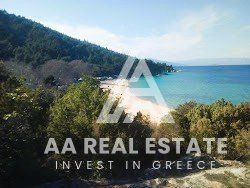 Αγροτεμάχια 33.500 τ.μ. προς πώληση