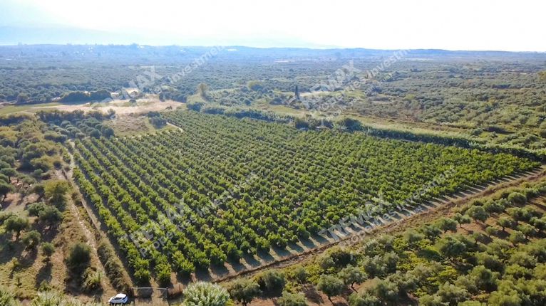 Αγροτεμάχια 30.000 τ.μ. για πώληση, Μεσσηνία, Ιθώμης