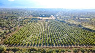 Αγροτεμάχια 30.000 τ.μ. για πώληση, Μεσσηνία, Ιθώμης-thumb-2