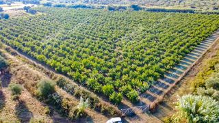 Αγροτεμάχια 30.000 τ.μ. για πώληση, Μεσσηνία, Ιθώμης-thumb-1