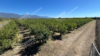Αγροτεμάχια 30.000 τ.μ. για πώληση, Μεσσηνία, Ιθώμης-thumb-28