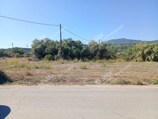 Οικόπεδο 3.799 τ.μ. για πώληση, Μεσσηνία, Πεταλίδι-thumb-11