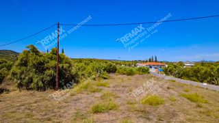 Οικόπεδο 3.799 τ.μ. για πώληση, Μεσσηνία, Πεταλίδι-thumb-6