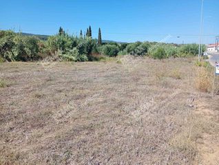 Οικόπεδο 3.799 τ.μ. για πώληση, Μεσσηνία, Πεταλίδι-thumb-10