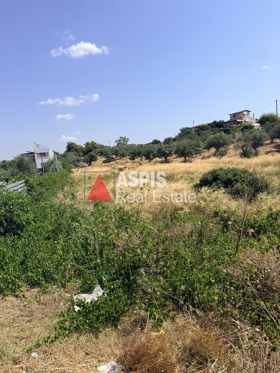 Οικόπεδο 2.120 τ.μ. προς ενοικίαση, Αθήνα - Ανατολικά Προάστια, Κορωπί