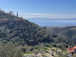 Αγροτεμάχια 9.581 τ.μ. για πώληση