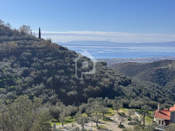 Αγροτεμάχια 9.581 τ.μ. για πώληση, Μεσσηνία, Καλαμάτα