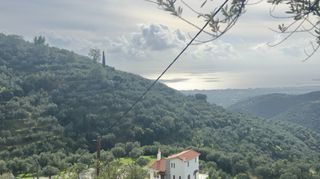 Αγροτεμάχια 9.581 τ.μ. για πώληση, Μεσσηνία, Καλαμάτα-thumb-1