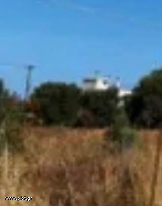 Οικόπεδο 807 τ.μ. προς πώληση, Καλυμνιώτικα
