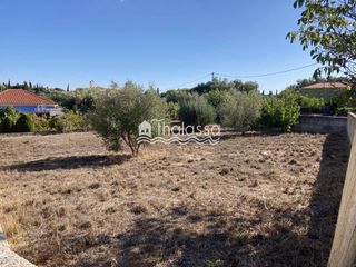Land plot 584 sqm for sale