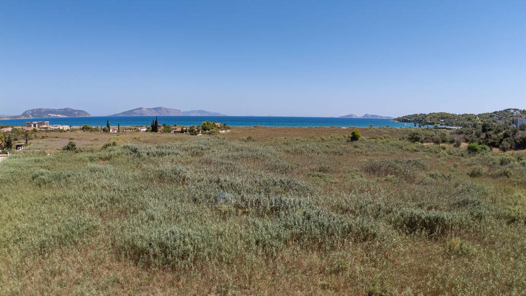 Αγροτεμάχια 20.863 τ.μ. προς πώληση, Πετροθάλασσα