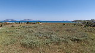 Αγροτεμάχια 20.863 τ.μ. προς πώληση, Πετροθάλασσα-thumb-2