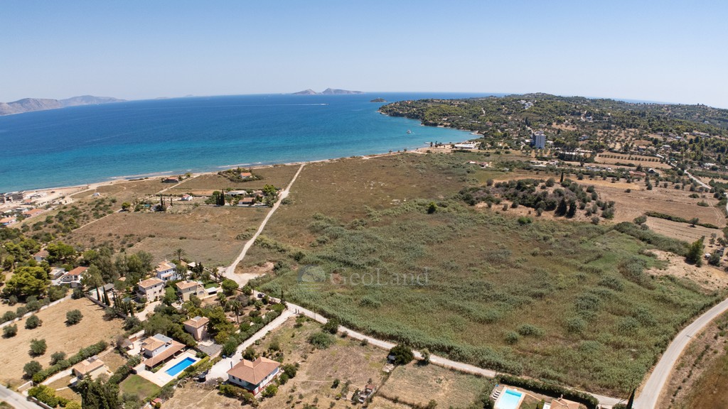 Αγροτεμάχια 20.863 τ.μ. προς πώληση, Πετροθάλασσα