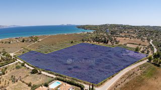 Αγροτεμάχια 20.863 τ.μ. προς πώληση, Πετροθάλασσα-thumb-9