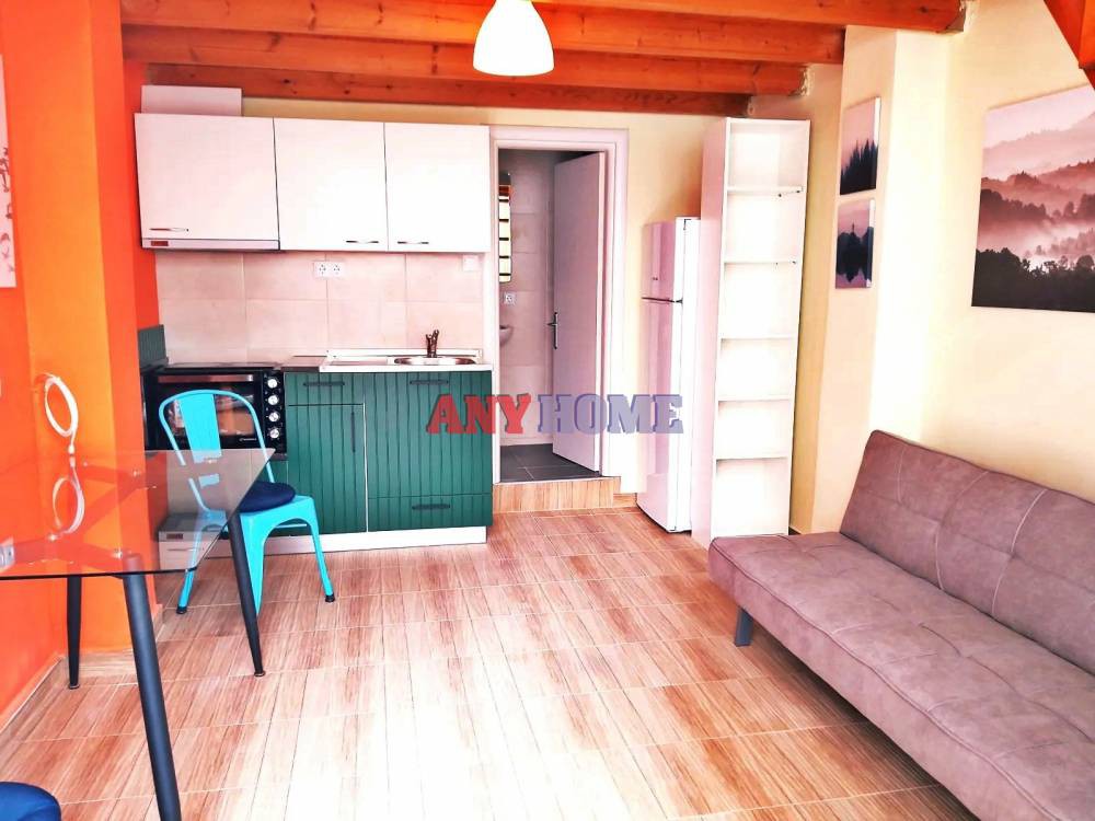 Loft 30 τ.μ. προς ενοικίαση, Δόξα