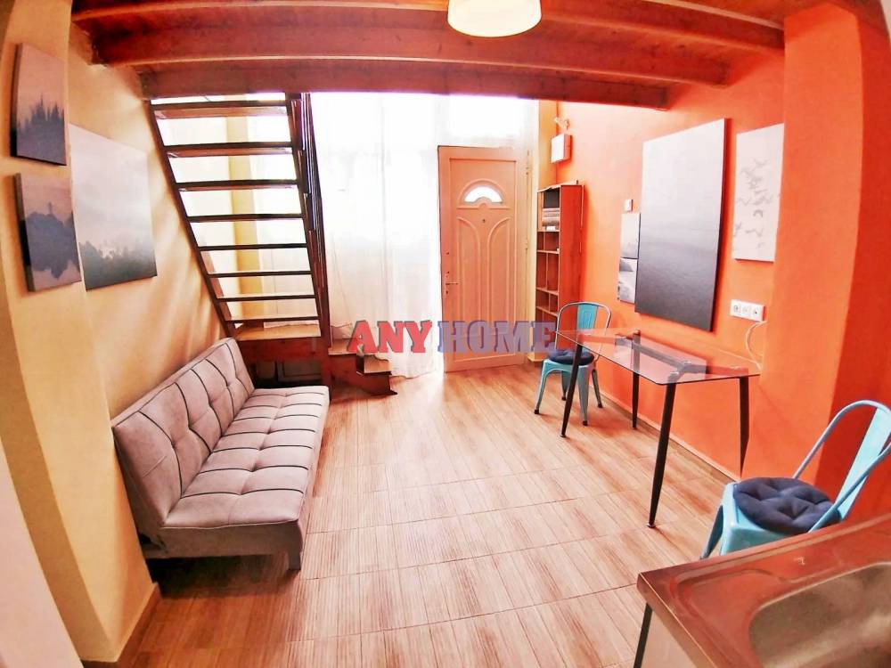 Loft 30 τ.μ. προς ενοικίαση, Δόξα