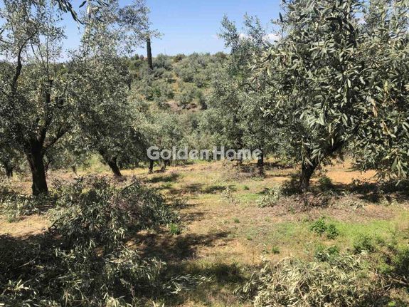 Αγροτεμάχια 4.473 τ.μ. για πώληση, Ν. Ρεθύμνου, Λάππα