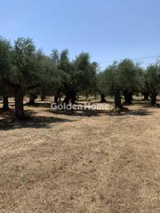 Αγροτεμάχια 4.473 τ.μ. για πώληση, Ν. Ρεθύμνου, Λάππα-thumb-1