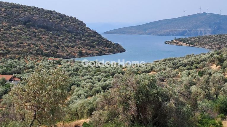Οικόπεδο 5.000 τ.μ. για πώληση, Φωκίδα, Δεσφίνα