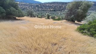 Οικόπεδο 5.000 τ.μ. για πώληση, Φωκίδα, Δεσφίνα-thumb-3