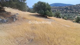 Οικόπεδο 5.000 τ.μ. για πώληση, Φωκίδα, Δεσφίνα-thumb-2