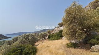 Οικόπεδο 5.000 τ.μ. για πώληση, Φωκίδα, Δεσφίνα-thumb-4