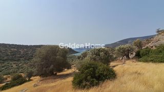 Οικόπεδο 5.000 τ.μ. για πώληση, Φωκίδα, Δεσφίνα-thumb-1