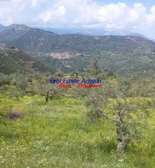 Αγροτεμάχια 3.870 τ.μ. πρός πώληση, Αχαΐα, Αιγιάλεια-thumb-1