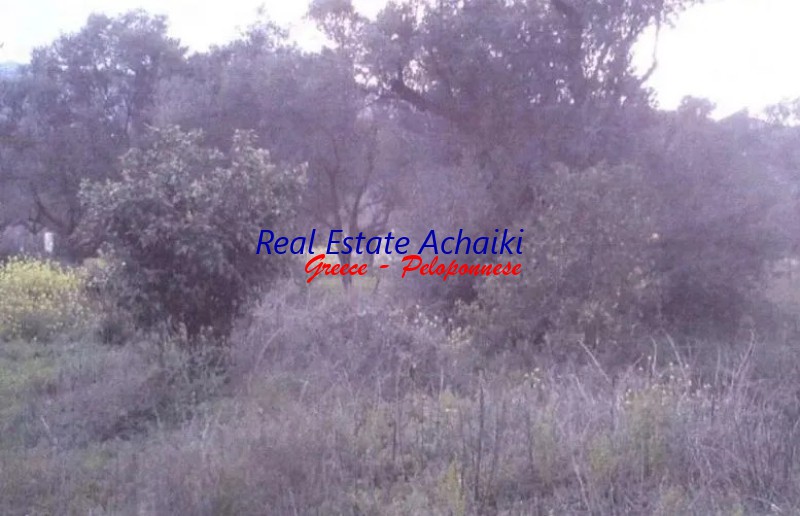 Αγροτεμάχια 3.285 τ.μ. προς πώληση, Καμάρες Ερινεού