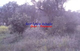 Αγροτεμάχια 3.285 τ.μ. για πώληση