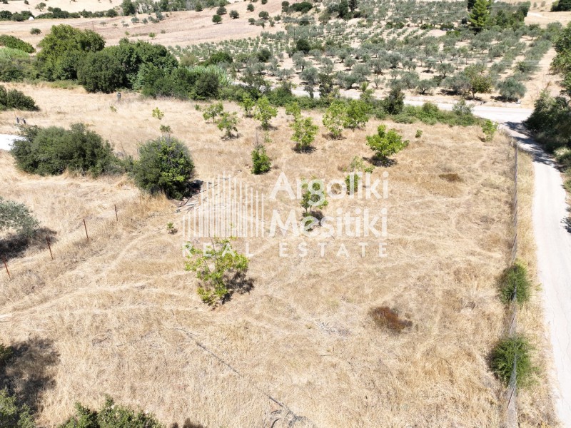 Αγροτεμάχια 3.689 τ.μ. πρός πώληση, Νησιά Αργοσαρωνικού, Τροιζήνα