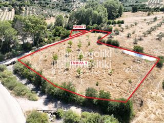 Αγροτεμάχια 3.689 τ.μ. για πώληση