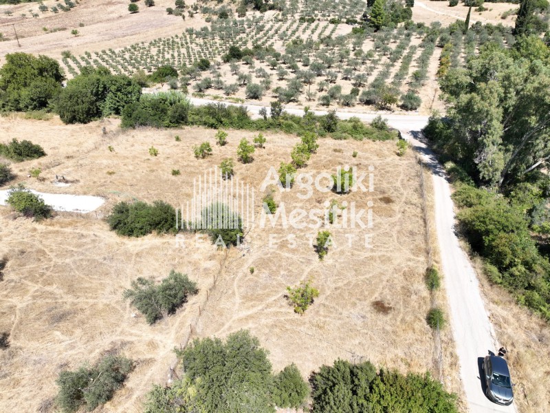 Αγροτεμάχια 3.689 τ.μ. πρός πώληση, Νησιά Αργοσαρωνικού, Τροιζήνα