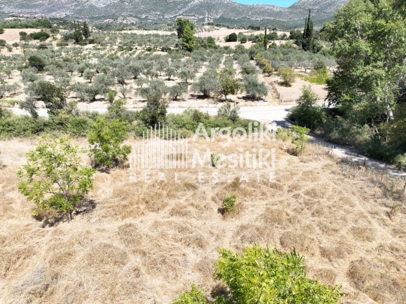 Αγροτεμάχια 3.689 τ.μ. πρός πώληση, Νησιά Αργοσαρωνικού, Τροιζήνα