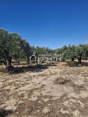Οικόπεδο 2.000 τ.μ. για πώληση, Ν. Λασιθίου, Ιεράπετρα-thumb-1