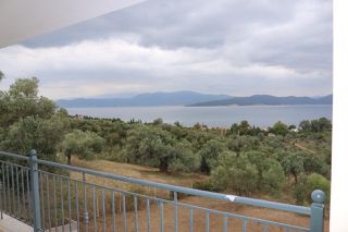 Μονοκατοικία 435 τ.μ. για πώληση, Εύβοια, Αιδηψός-thumb-2