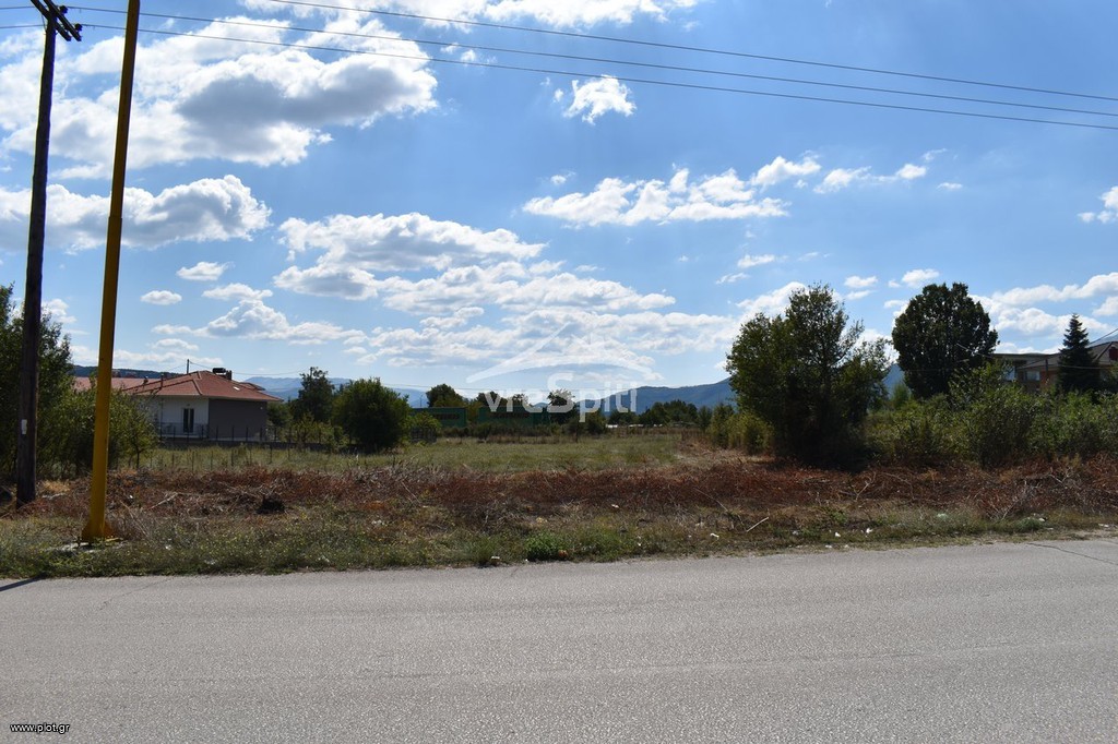 Οικόπεδο 1.126 τ.μ. πρός πώληση, Ν. Ιωαννίνων, Μπιζάνιο