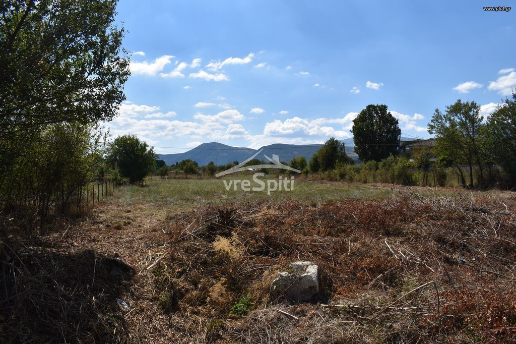 Οικόπεδο 1.126 τ.μ. πρός πώληση, Ν. Ιωαννίνων, Μπιζάνιο